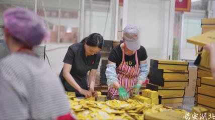 以司法之力，護茶香悠悠——宣恩縣法院加強知識產權法治保障有力支持全面創新