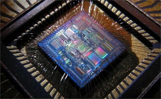 專用集成電路的發展與應用 集成電路設計的創新之路