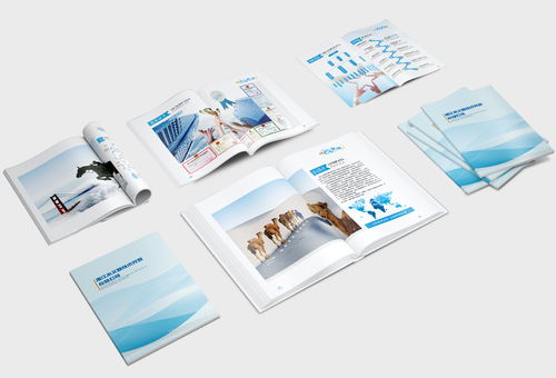 企業(yè)畫冊(cè) 公司簡(jiǎn)介 產(chǎn)品畫冊(cè) 科技畫冊(cè) 商務(wù)畫冊(cè)