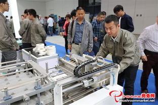 全國第十一屆菌博會 商務信息咨詢助力產業(yè)升級與貿易拓展